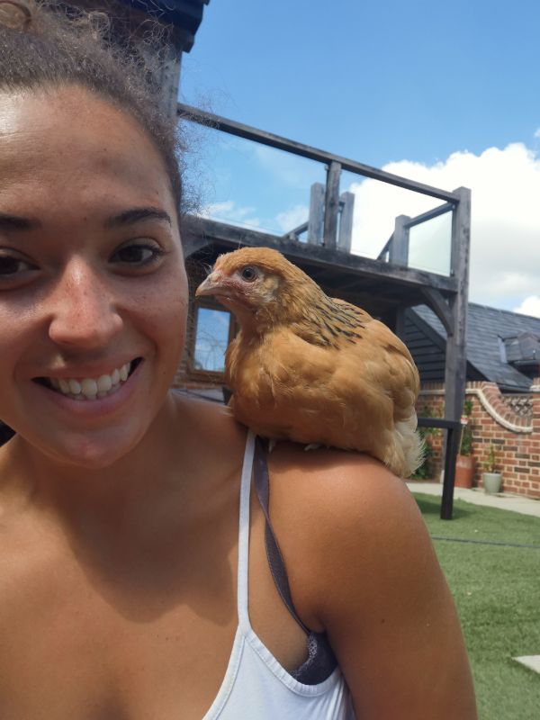kayleigh with hen on her shoulder